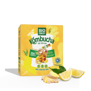 Poudre de Kombucha Bio au Gingembre et Citron Vert, Boisson Instantanée en Poudre, Prix Usine de Gros, 100g par Boîte, Emballage Boîtes de Thé au Gingembre - Product Image 1