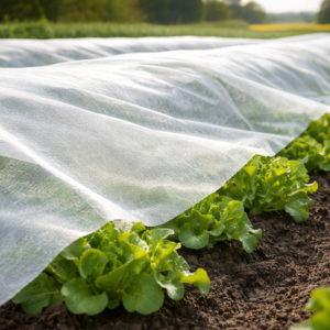 Tissu géotextile non tissé en polypropylène spunbond |   Poids moyen |   Tissu industriel et filtrant haute résistance - Product Image 6