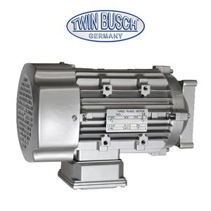 E-HEB0750: Motore Elettrico TW242CEB4.3-G - Product Image 1