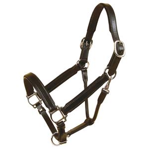 Soft Quality English Leather Horsekraft <b>Horse</b> Racing Halter Fancy Stitching Solid <b>Brass</b> Buckles Soft Padding Durable Customized - Product Image 3