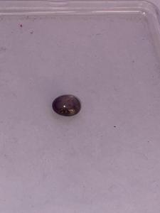 Rubí Estrella Natural de 8.09 Ct, Corindón Rojo Púrpura, Cabujón Ovalado, Gema Suelta con Juego de Color para Joyería - Product Image 3