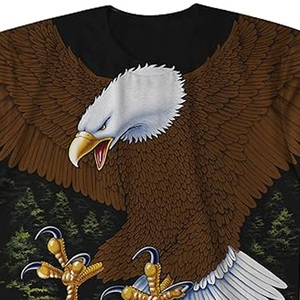 Camisetas Streetwear al por Mayor, Camisetas Oversize con Gráficos de Anime, Camisetas Unisex de Algodón Grueso, Fabricante OEM, Proveedor de Camisetas para Hombre - Product Image 4