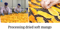 1Kg Zachte Gedroogde Mango Met Vietnamese Verse Mango