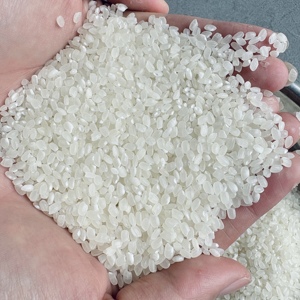 Arroz para Sushi de Grano Corto Japonica, Forma Redonda, 5% de Grano Partido, Venta al por Mayor para Hostelería - Justin - Product Image 2