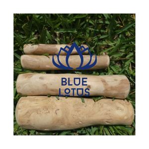 ENVÍO RÁPIDO 2026 Juguete Masticable de Madera de Café para Perros, Resistente, para Práctica de Masticación y Alivio del Aburrimiento - Product Image 3