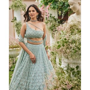 Handmade Beautiful A-Line <b>Lehenga</b> Choli with Strapless Neckline <b>Crop</b> <b>Top</b> Embroidered Organza Natural Waist Belt for Party Wear - Product Image 3