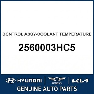 อะไหล่รถยนต์และรถบรรทุกอื่นๆ สำหรับ Elantra รุ่นใหม่ 2560003HC5 - Product Image 1