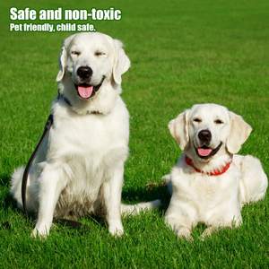 TH-PAG-613 Natural Feel Artificial Turf Mat for Pets Hygienic Ideal for Training Puppies Indoors or Creating Cozy Balcony Areas - Product Image 5