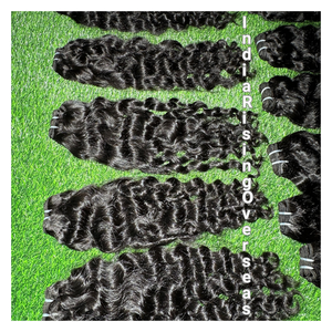 Extensiones de Cabello Humano Indio, Textura Rizada, Doble Trama a Máquina, Cabello Grueso de Alta Calidad, Completo de Raíz a Punta - Product Image 2