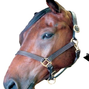 Harnais pour cheval en cuir véritable de qualité supérieure avec attaches en laiton massif et double couture durable, harnais rembourré en cuir pour cheval - Product Image 2