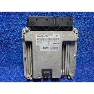 ECUs y Módulos de Computación Usados para Carnaval 391002F060 - Product Image 1