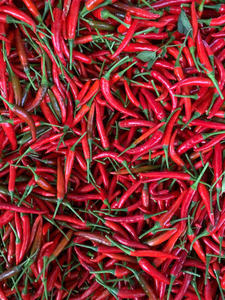 Chili rojo congelado al por mayor/Chiles congelados IQF-Sin conservantes, cosecha fresca, limpiado y empaquetado para mayor comodidad/Sra. Lima - Product Image 4