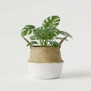 Foldable <b>Belly</b> Seagrass <b>Baskets</b> Cheap Wholesale Home Storage Vietnam Natural Woven Home and Gardens Products - Product Image 3