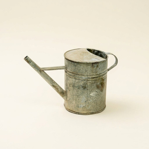 Regadera de hierro galvanizado de alta calidad hecha a mano con boquilla larga extraíble y cabezal de rociador para jardinería profesional - Product Image 2
