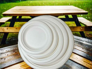 จานกระดาษเยื่อชานอ้อยแบบใช้แล้วทิ้ง ขนาด 10 นิ้ว ย่อยสลายได้ 100% ปลอดภัยสำหรับไมโครเวฟ กันน้ำ เหมาะสำหรับงานเลี้ยงกลับไปโรงเรียน - Product Image 5