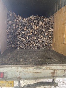 Pôles en bambou naturel pour le soutien des arbres fruitiers, la protection contre le vent et la gestion des cultures - Product Image 5