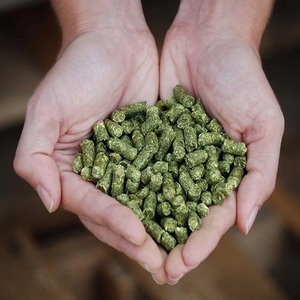 Granulés d'alfalfa de qualité supérieure pour l'alimentation du bétail, teneur élevée en fibres, qualité constante, alimentation animale pour bovins laitiers, chevaux, moutons - Product Image 1