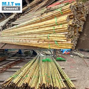 Poteaux en bambou durables de 0,5 m à 5 m de long pour le soutien des plantes agricoles, le jardinage et la construction extérieure - Product Image 5