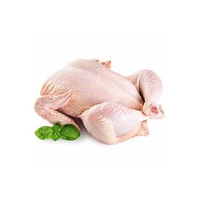 Poulet entier congelé halal à prix avantageux
