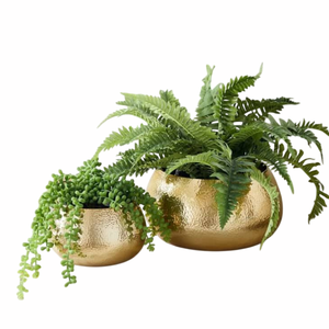 Modern <b>Gold</b> Plated Metal Flower <b>Pot</b> With Green <b>Plant</b> Indoor Desktop Planter Circular Minimalist Style Handmade Planter - Product Image 1