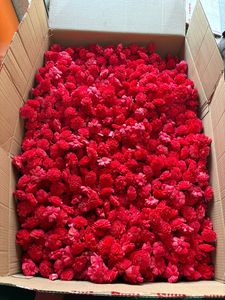 Fleurs en bois de Sola faites à la main, couleur rouge, en vrac, fleurs décoratives pour la décoration de mariage, arrangements floraux DIY - Product Image 3