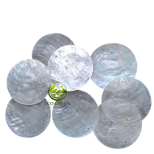 Disco Circular de Concha de Capiz Natural Blanca, Doble Perforado, para Adornos Hechos a Mano, Pantallas de Lámparas, Decoración Colgante, Suministro de Fábrica - Product Image 1