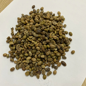 High Quality PHALCO <b>Robusta</b> Green <b>Coffee</b> <b>Beans</b> Grade 1 Screen 16/18 Vietnam Best Price Ready for Export in Jute Bag Packaging - Product Image 1