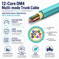 HEADWAY FCS-DSLA-4M012-AQ Kabel Trunk Optik Multimode OM4 12-Core Dalam Ruangan dengan Jaket LSZH GB/T 18380.33 Teruji Tahan Api untuk Pusat Data
