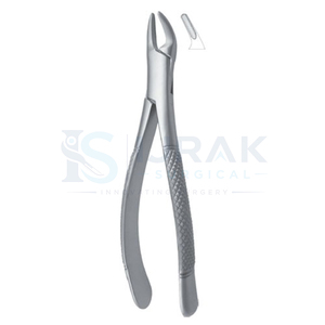 Pinzas de Extracción Dental de Acero Inoxidable, Pinzas Manuales para Dientes con Empuñadura Moleteada, Garra Quirúrgica para Uso Clínico - Product Image 4
