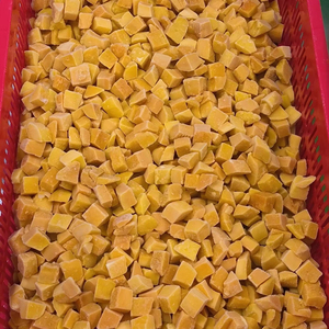 Mango Congelado IQF a Granel, Precio Económico, con Proceso de Preservación de Agua, Fruta Congelada de Alta Calidad - Product Image 1