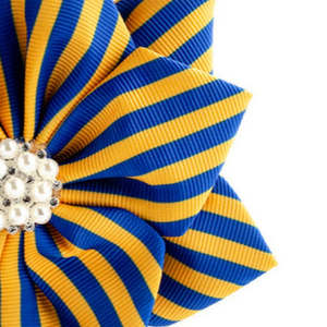Broche à revers pied-de-poule Sigma Gamma Rho, bleu et or, accessoire de mode, bijou élégant, badge décoratif, personnalisable, vente en gros, OEM - Product Image 4