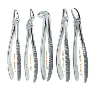 Kit de Fórceps Dentales Manuales de Acero Inoxidable de Alta Calidad Clase I - Juego de Instrumentos Dentales Reutilizables para Extracción de Dientes - Product Image 2