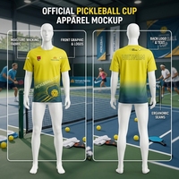 Camiseta Promocional Personalizada de Vietnam Airlines para Pickleball, OEM ODM, al por Mayor, Absorbente de Humedad, Unisex, Manga Corta, Ropa Deportiva de Poliéster