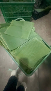 Hoja de Plátano Vietnamita Premium, Hoja de Plátano Fresca para Envolver Alimentos Tradicionales, Cocina, Catering y Suministro al por Mayor - Product Image 6
