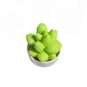 Juguete de Cactus en Miniatura de Resina Colorida, Juguete Antiestrés de Plástico para Aliviar el Estrés, Unisex - Product Image 5