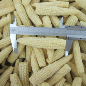 Maïs bébé surgelé IQF de qualité supérieure pour salades, soupes, sautés - Fournisseur direct d'usine de légumes surgelés pour l'industrie agroalimentaire - Ms. - Product Image 3