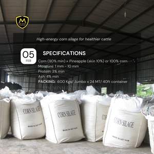 Silage de maïs d'origine vietnamienne de haute qualité, peau d'ananas pour l'alimentation du bétail, emballage en sac jumbo, durée de conservation de 12 mois, vente en gros - Product Image 2