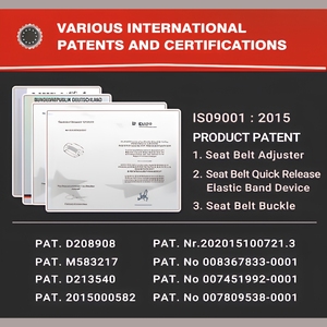 Arnés de Seguridad Profesional para Automovilismo, FIA 8853-2016, 6 Puntos, Cierre de Aluminio, Marca Personalizada TBRACING, Fabricante OEM con Certificación ISO 9001 - Product Image 5