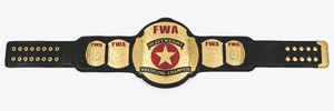 Ceinture de champion personnalisée BJJ Muay Thai - Ceinture de championnat en alliage de zinc de qualité supérieure pour les tournois et événements - Product Image 3