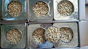 เม็ดมะม่วงหิมพานต์เวียดนามคุณภาพพรีเมียม ขายดี ราคาพิเศษ ทุกเกรด อบแห้ง ผลิตจากโรงงานโดยตรง ส่งออก ขายส่ง อาหารว่าง - Product Image 5