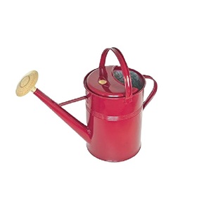 Arrosoir en métal de qualité supérieure, finition verte, support pour pot de fleurs, utilisation pour la maison, le jardin extérieur, fournitures de jardinage, seaux à eau - Product Image 3