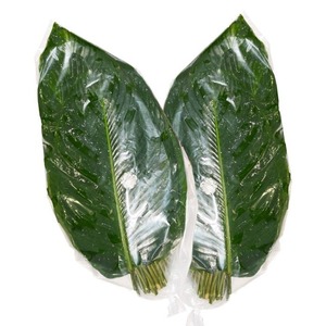 Feuilles de Dong vietnamiennes IQF surgelées, non-OGM - Feuilles en vrac de haute qualité pour plats asiatiques traditionnels et gâteaux - Prix bas - Product Image 6