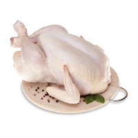 Poulet entier halal congelé, qualité supérieure, prix bas, volaille fraîche, viande de poulet entier congelé, best-seller