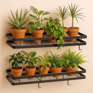Support mural pour plantes en fer noir thermolaqué, moderne, suspendu, vertical, avec finition résistante à la rouille - Product Image 4
