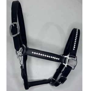 Black Leather Horse <b>Halter</b> with Crystal Rhinestone Accents Adjustable Show Tack Gear - Product Image 3