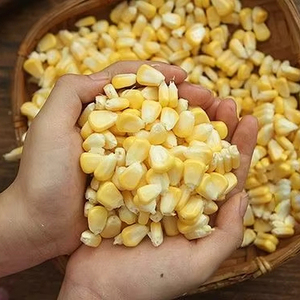 Excelente Opción, Alta Calidad, Excelente Precio, Semillas de Maíz Ceroso Orgánicas Secas para Cocina Saludable, Cereales, Industria de Snacks, a Granel - Product Image 2