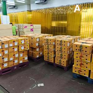 ทุเรียนมันทอง 100% ออร์แกนิค สดใหม่ บรรจุ 500 กรัม แช่เย็น อายุการเก็บรักษา 14 วัน - Product Image 5