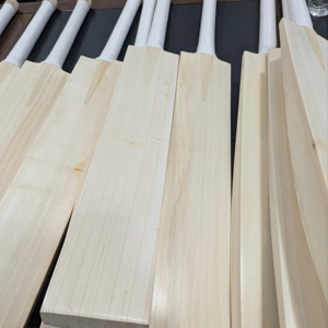 Batte de cricket en saule anglais HIT ZONE, légère et durable, pour balles dures, usage professionnel et d'entraînement de qualité supérieure - Product Image 1