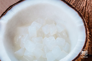 Gelatina de coco deliciosamente enlatada con sabores naturales y bocadillo de alta calidad para té de burbujas - Product Image 6