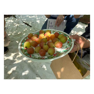 Frutas Japonesas de Excelente Calidad y Variedad Extensa: Uvas Frescas Verdes, Negras y Rojas - Product Image 1